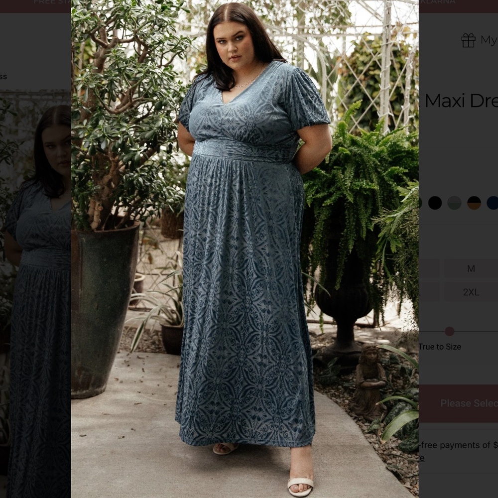 NWT Blue Leslie Velvet Maxi Dress